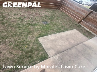 Landscape Design In Irving,75060,Landscaping Services by Morales Lawn Care, work completed in Jul , 2026
