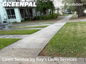 Lawn mowed in New Orleans, 70115
