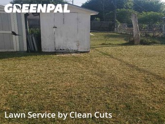 Yard Cutting nearby Corpus Christi, TX, 