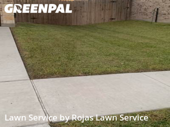 Yard Cutting nearby Harlingen, TX, 