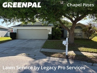 Lawn Mowing Service nearby Wesley Chapel, FL, 