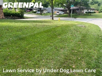 Lawn mowed in Green Bay, 54304