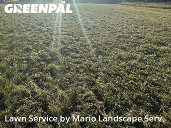 Yard Cutting nearby Lake Bluff, IL, 