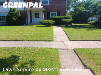 Grass Cutting nearby Munster, IL, 