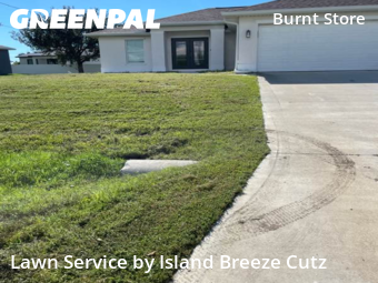 Lawn Cut nearby Cape Coral, FL, 