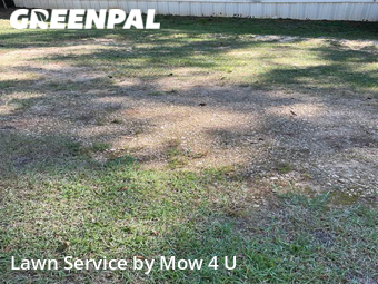 Lawn Cut nearby Tallahassee, FL, 