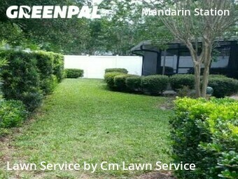Grass Cut nearby Jacksonville, FL, 