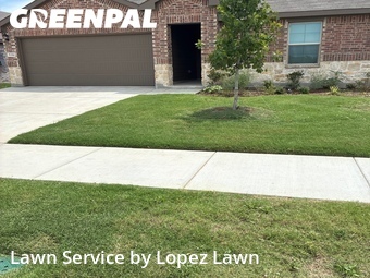Grass Cuttingin Denton,76207,Lawn Cut by Lopez Lawn, work completed in Jun , 2026