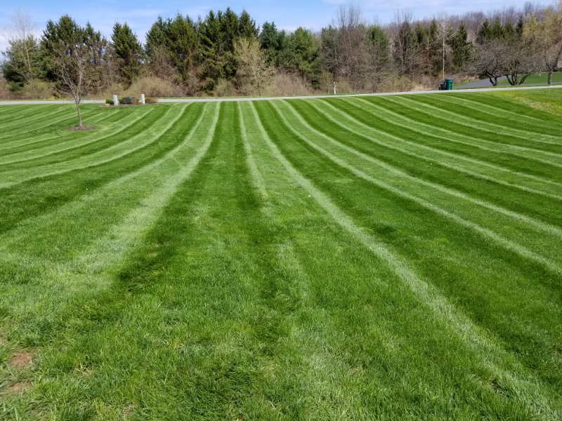 Km Lawn & Landscape Lawn Care Services in Canandaigua, NY