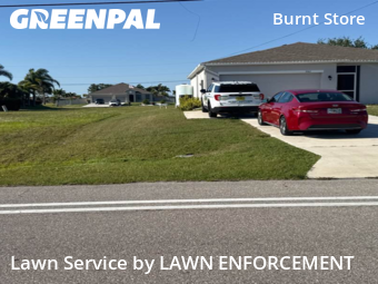 Lawn Care nearby Cape Coral, FL, 