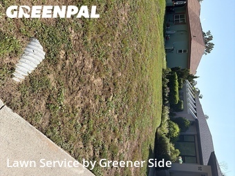 Lawn Care Service nearby Port Charlotte, FL, 