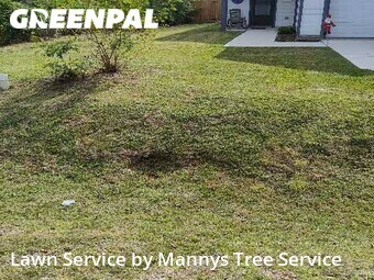 Lawn Mow nearby La Marque, TX, 