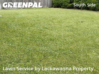 Grass Cut nearby Scranton, PA, 