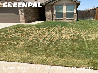 Lawn Maintenance nearby Lubbock, TX, 
