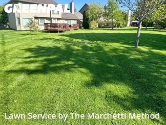 Lawn Mowing nearby Aurora, IL, 
