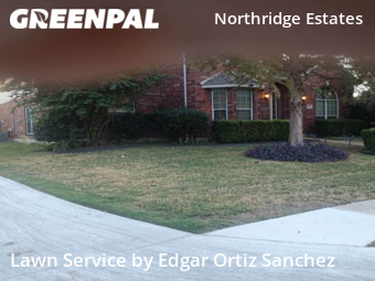 Lawn Service nearby Plano, TX, 