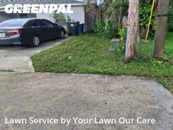 Grass Cut nearby Bartow, FL, 
