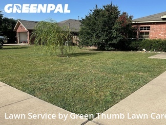 Yard Mowing nearby Saginaw, TX, 