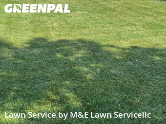 Yard Cutting nearby Commerce City, CO, 