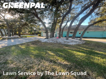 Lawn Cut nearby Spring Hill, FL, 