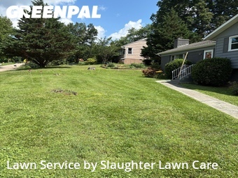 Yard Mowing nearby Knoxville, TN, 