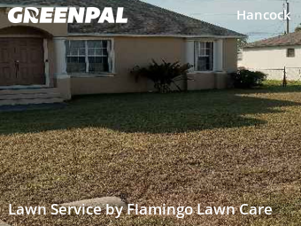 Lawn mowed in Cape Coral, 33990