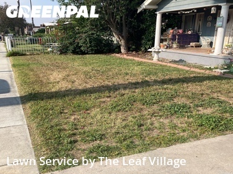 Landscaping Maintenance In San Bernardino,92405,Landscapers by The Leaf Village, work completed in Jun , 2026
