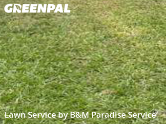 Grass Cutting nearby Ocoee, FL, 