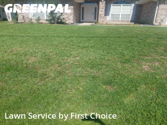 Yard Mowing nearby Palm Coast, FL, 