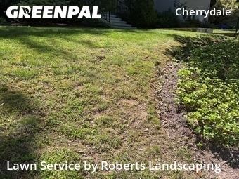 Yard Cutting nearby Arlington, VA, 