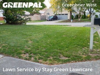 Grass Cut nearby Chesapeake, VA, 