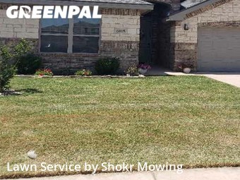 Yard Cutting nearby Odessa, TX, 