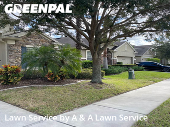 Grass Cut nearby Oviedo, FL, 