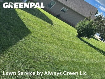 Lawn Care nearby Lexington, KY, 
