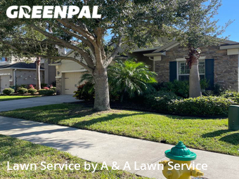 Lawn Cut nearby Oviedo, FL, 