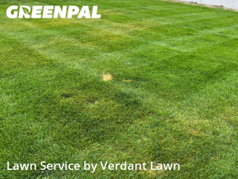 Yard Mowing nearby Loveland, CO, 