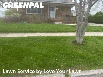 Lawn Mow nearby Sloan, NY, 