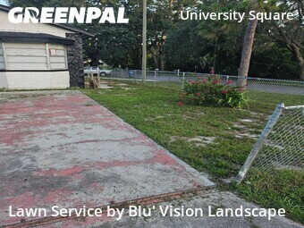 Yard Cutting nearby Tampa, FL, 