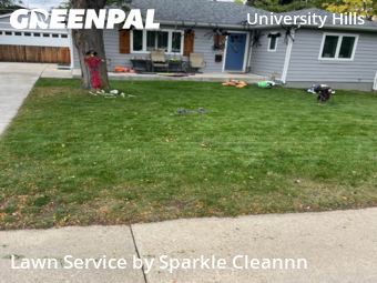 Lawn Servicein Denver,80222,Lawn Mowing Service by Sparkle Cleannn, work completed in Jan , 2026
