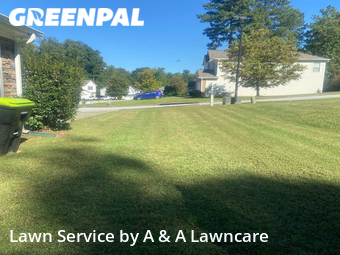 Lawn Mow nearby Dallas, GA, 