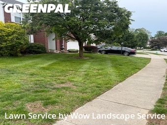 Yard Cutting nearby Avon, IN, 