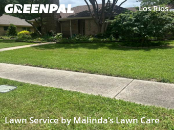 Lawn Care nearby Plano, TX, 