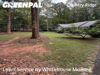 Yard Cutting nearby Raleigh, NC, 