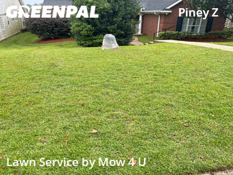 Grass Cut nearby Tallahassee, FL, 
