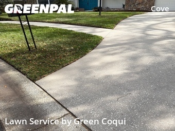 Lawn Mow nearby Tampa, FL, 