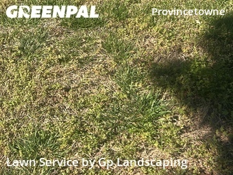 Lawn Maintenance nearby Matthews, NC, 