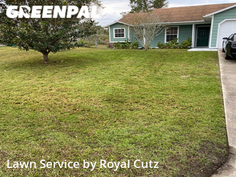 Lawn Cut nearby Deltona, FL, 