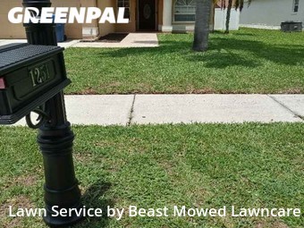 Grass Cut nearby Wesley Chapel, FL, 