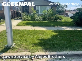 Backyard Landscaping In Chicago,60619,Landscaping Services by Alejos Brothers, work completed in Jul , 2026