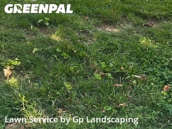 Lawn Mow nearby Gastonia, NC, 